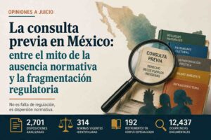 Consulta previa