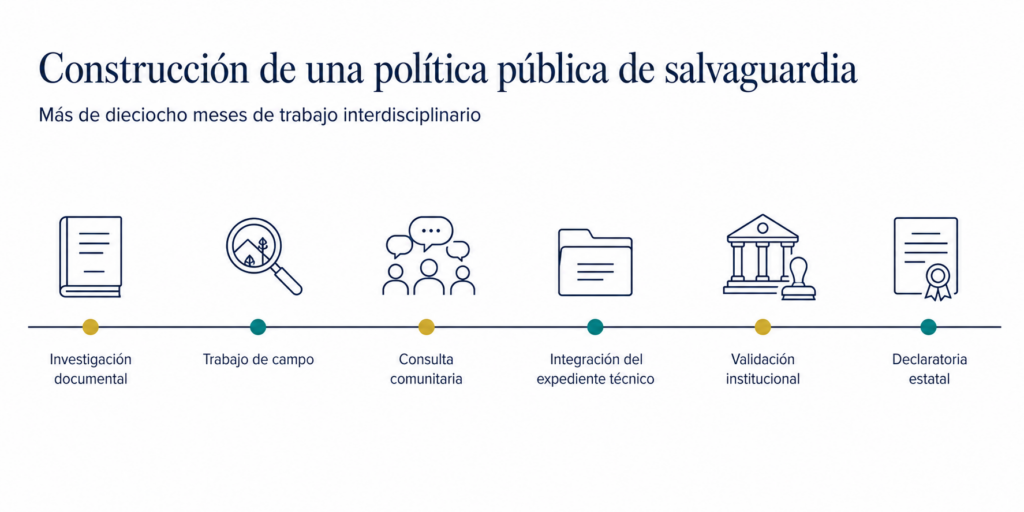Politica pública